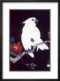 Ukiyo-E Perroquet Affiches par Ohara Shoson