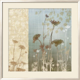 Delicate Fields I Art by Conrad Knutsen