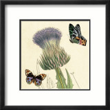 Field Thistle Affiches par Louis Van Houtte