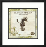 Biologia Marina III Láminas Biologia Marina III Láminas