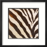 Contemporary Zebra III Print by Patricia Quintero-Pinto