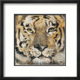 Tiger Kunstdrucke von Volynets 