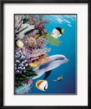 Dolphin's Reef Estampe encadrée par Mark Mackay