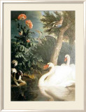Cisnes Láminas por Alexandre-Francois Desportes Cisnes Láminas por Alexandre-Francois Desportes
