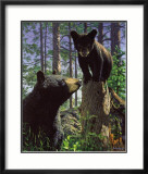 Stump Jumper Kunstdrucke von Bruce Miller