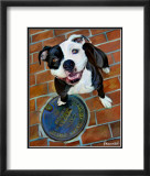 Happy Staffie Posters par Robert Mcclintock