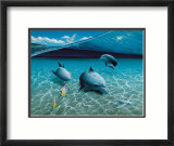 The Chase, Maui Dolphins Affiches par Mark Mackay