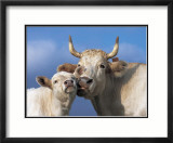 Con amor Arte por Jean-baptiste Laissard Con amor Arte por Jean-baptiste Laissard