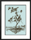 Avian Toile I Arte