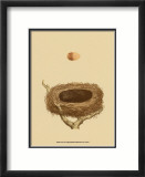 Antique Nest and Egg III Affiches par Reverend Francis O. Morris