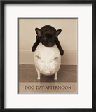 Dog Day Afternoon Prints by Jim Dratfield