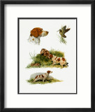 Brittany Prints by Rial 
