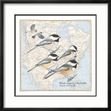 Mésange à tête noire Affiches par David Sibley