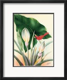 Cardinal Framed Giclee Print by Frank Oda