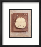 Seashell Study I Prints by Julie Nightingale