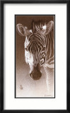 Grant, the Zebra Láminas por Robert L. Caldwell Grant, the Zebra Láminas por Robert L. Caldwell