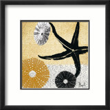 Tidepool Dreams II Pósters por Jason Basil
