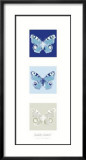 Butterfly II Kunstdruck von Elisabeth Verdonck