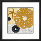 Tidepool Dreams I Posters av Jason Basil Tidepool Dreams I Posters av Jason Basil