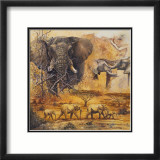 Safari II Posters av Peter Blackwell