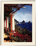 Pergola in Capri Posters by Elizabeth Wright