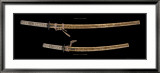 Wakizashi and Katana Poster by Takeshiba Toshiteru