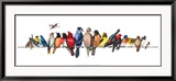 Large Bird Menagerie Pósters por Wendy Russell