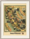 The Unique Map of California, c.1885 Framed Giclee Print by E. M. Johnstone