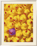 Quack, Quack I Plakater av Dave Brullmann Quack, Quack I Plakater av Dave Brullmann