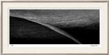 Stillness IV Limited Edition Framed Print by Anthony Tahlier