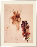 Orchideen für John Plakat av Bruno Bruni Orchideen für John Plakat av Bruno Bruni
