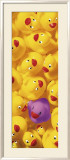Quack, Quack II Posters av Dave Brullmann Quack, Quack II Posters av Dave Brullmann