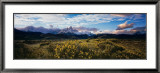 Fitz Roy, Parque National Los Glaciares Prints by Markus Renner