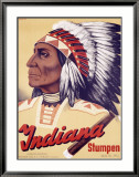 Indiana Stumpen Estampe encadrée par Johannes Handschin