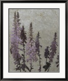 Foxgloves II Art par Chariklia Zarris