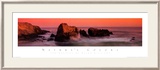 Nature's Colors, Big Sur Art by Wayne Williams