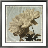 Antiqued Floral and Sky I Pósters por Megan Meagher Antiqued Floral and Sky I Pósters por Megan Meagher