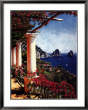 Pergola in Capri Art by Elizabeth Wright