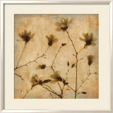 Magnolias II Print by Caroline Kelly