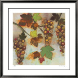 Vineyard Visions II Lámina enmarcada de edición limitada por Aleah Koury Vineyard Visions II Lámina enmarcada de edición limitada por Aleah Koury