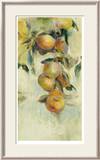 Golden Fruit Study I Limited Edition Framed Print by Allyson Krowitz