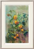 Tropical Elements I Limited Edition Framed Print by Allyson Krowitz