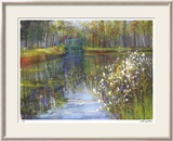 Spring Reflections II Innrammet trykk – spesialversjon av Carol Buettner Spring Reflections II Innrammet trykk – spesialversjon av Carol Buettner