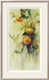 Golden Fruit Study III Limited Edition Framed Print by Allyson Krowitz