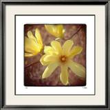 Yellow Magnolia Reproduction encadrée édition limitée par Rebecca Tolk