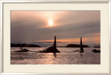 Twilight Bound Prints by Bob Talbot