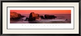 Nature's Colors, Big Sur Posters by Wayne Williams