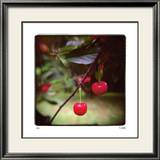 Jacquie’s Cherries Reproduction encadrée édition limitée par Rebecca Tolk