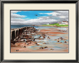 Low Flying over Lossiemouth West Beach Prints by Elise Ferguson