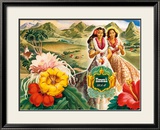 Hawai (EE.UU.) Lámina giclée enmarcada por Andre